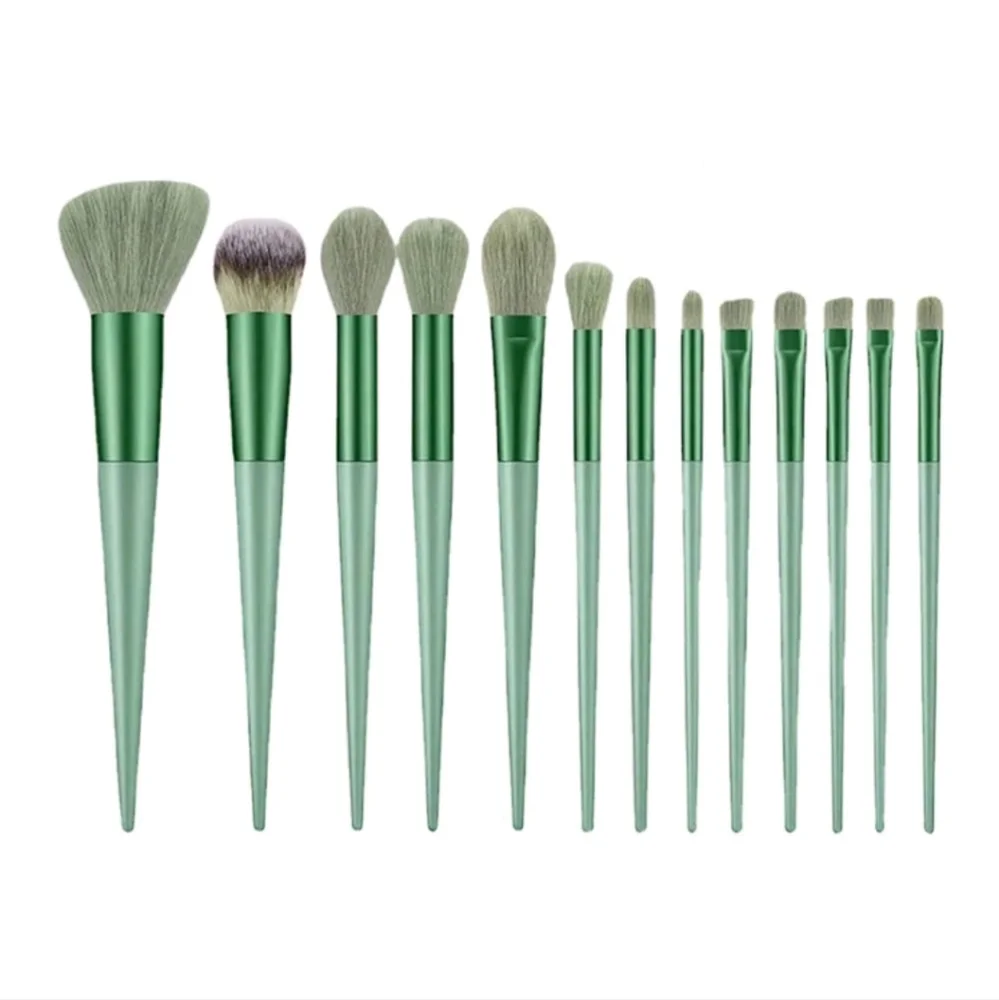 Makeup Brush Set NWT